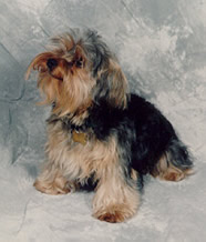 Beethoven