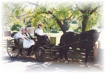 Carriage in Coloma