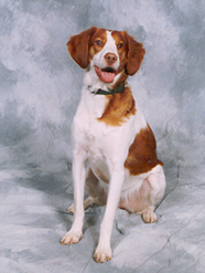 Maggie