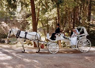 Tophand Ranch